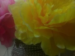 -米悦量贩式KTV(悦海新天地店)