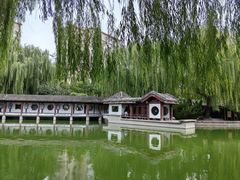 -团结湖公园