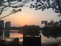 -新江湾城公园