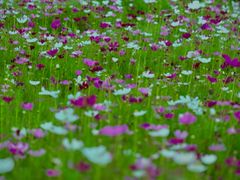 -北沙滩(地铁站)