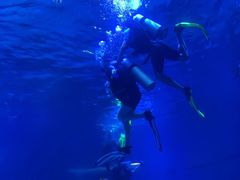 -烟台海昌鲸鲨海洋公园