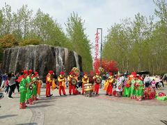 -合肥滨湖国家森林公园