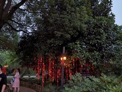 -乌镇西栅景区-月老庙