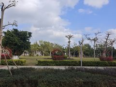 -万绿园