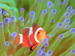 -梁师傅烘焙(府前店)