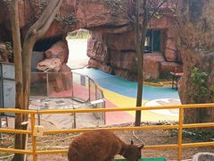-牛鱼嘴原始生态风景区