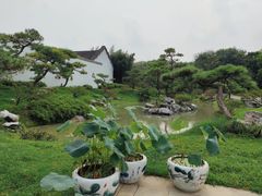 -盆景园(扬州大运河文化旅游度假区)