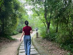 -桤木河湿地公园