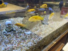 -水碾河刘老大串串香(水碾河路店)