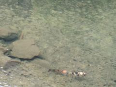 -宁波五龙潭景区