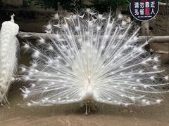 -哈尔滨北方森林动物园