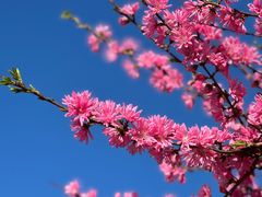 -瀛海足球主题公园