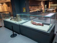 -巴音郭楞蒙古自治州博物馆