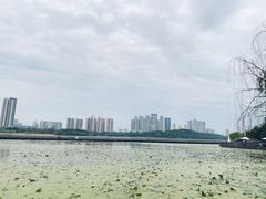 -月湖风景区