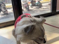 -宠颐生汉谟拉比宠物医院