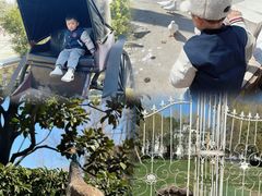 -J Create城市露营咖啡·简餐·宠物(上海动物园店)