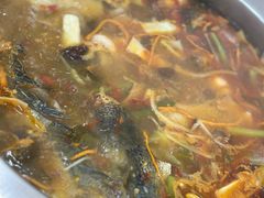 -大理.老字号渝记酸萝卜乌鱼(古城总店)