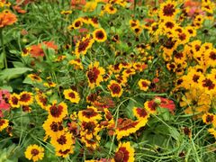 -永定河休闲森林公园