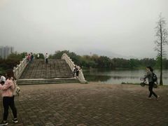 -飞来湖湿地公园