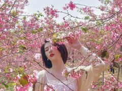 -天适樱花悠乐园