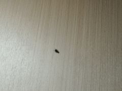-希雅酒店(三元里地铁站店)