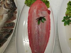 -海派美食·家宴海鲜青岛菜·石锅鲽鱼头(东方城店)