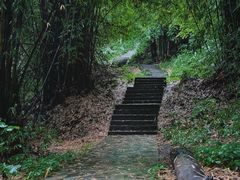 -黔灵山公园