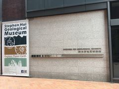 -香港大学