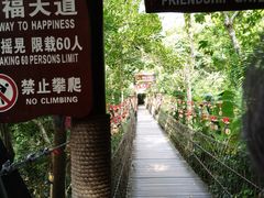 -呀诺达热带雨林