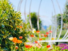 -海心沙亚运公园