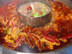 -王婆乔鲜鱼自助火锅(蜀汉路店)