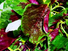 -黔府豆米火锅野菜馆(南马店)