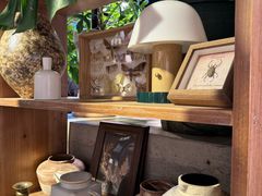 -自由生长植物工作室(深港花卉中心店)