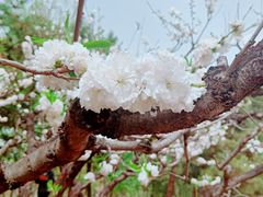 -朝阳公园