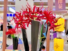 -弘阳·未来世界(弘阳广场店)