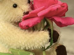 -摔碗酒(永兴坊店)