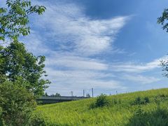 -桤木河湿地公园