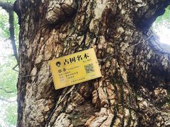 -无锡惠山寺