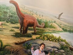 -辽宁古生物博物馆