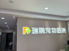 -瑞鹏宠物医院•异宠•宠保定点•流浪定点救助宠物医院(青祁店)