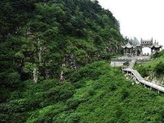 -牛背梁国家森林公园
