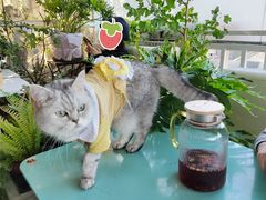 -小时光咖啡馆(北锣鼓巷店)