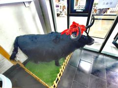 -金味德牦牛肉拉面(天水路店)
