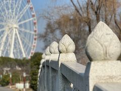 -顾村公园