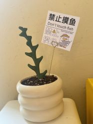 -乐室LE SPACE·美学疗愈空间