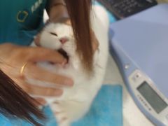 -美迦爱-牙专科·兔科·骨科诊疗中心(北苑店)