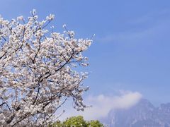 -庐山风景名胜区