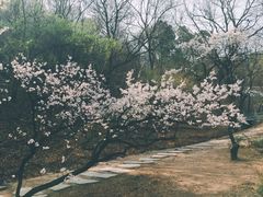 -香山公园-东宫门售票处