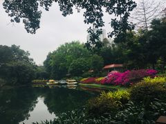 -晓港公园
