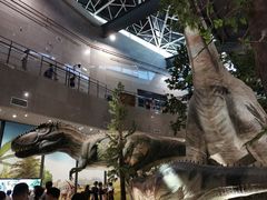 -湖南省地质博物馆